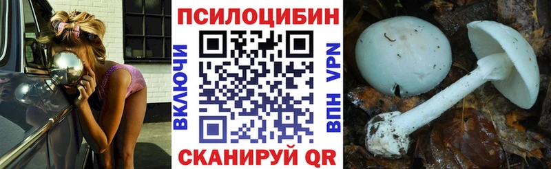 Псилоцибиновые грибы мицелий  Гай 