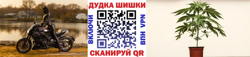 Канабис VHQ  купить наркотики цена  Гай 